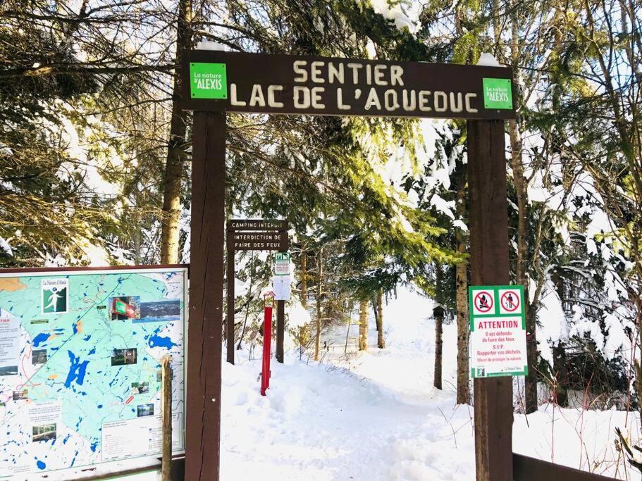 Chalets Nabu La Sacacomie - Riviere - Billard Saint-Alexis-des-Monts Exterior foto