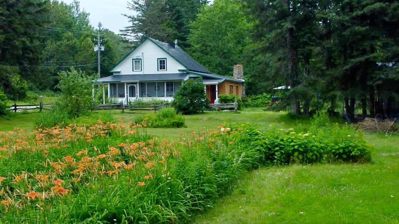 Chalets Nabu La Sacacomie - Riviere - Billard Saint-Alexis-des-Monts Exterior foto