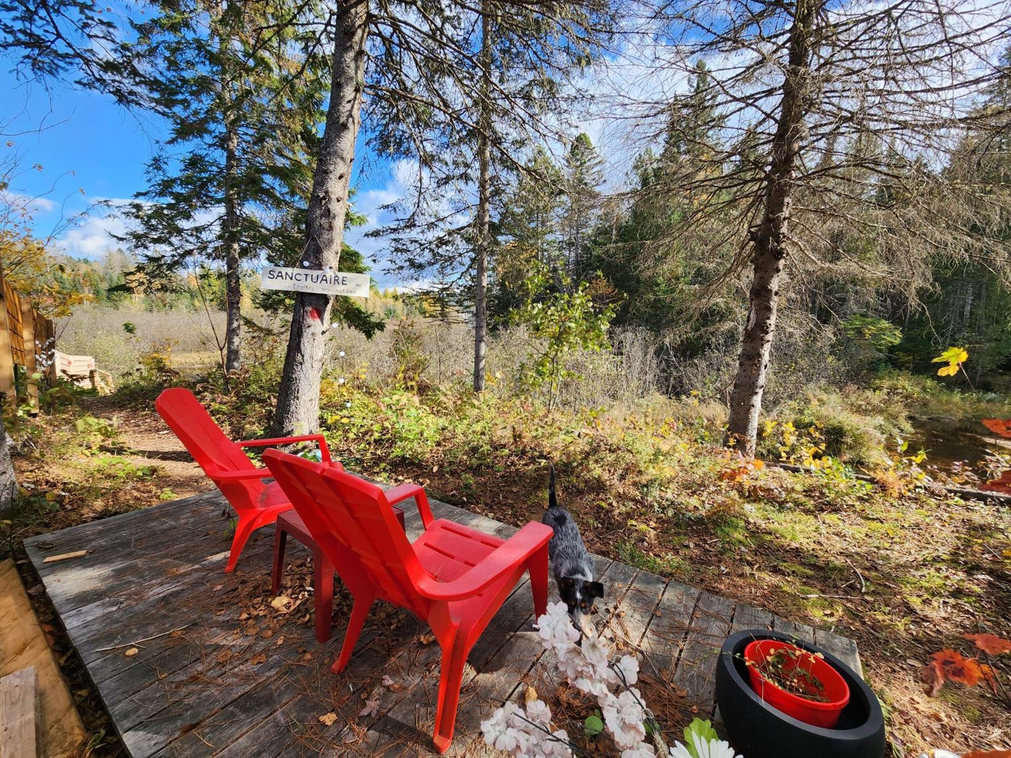Chalets Nabu La Sacacomie - Riviere - Billard Saint-Alexis-des-Monts Exterior foto